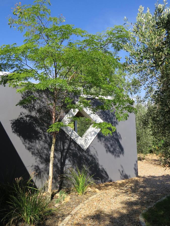 דירות פרינס אלברט Olive Grove Pip מראה חיצוני תמונה